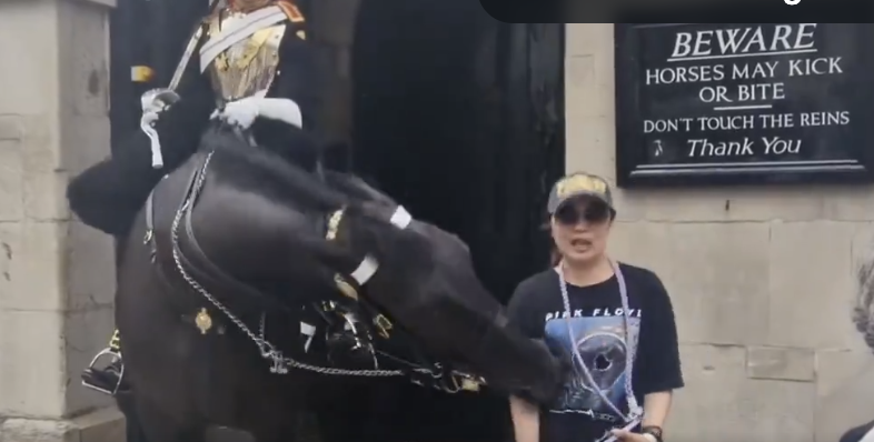 Kings Guard Horse bites annoying tourist in London